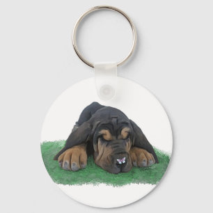 Chaveiro filhote de cachorro do bloodhound