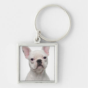 Chaveiro Filhote de cachorro do buldogue francês (5 meses