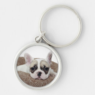 Chaveiro Filhote de cachorro do buldogue francês que