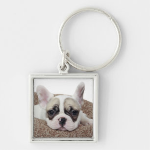 Chaveiro Filhote de cachorro do buldogue francês que