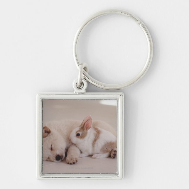 Chaveiro Filhote de cachorro e coelho (Frente)
