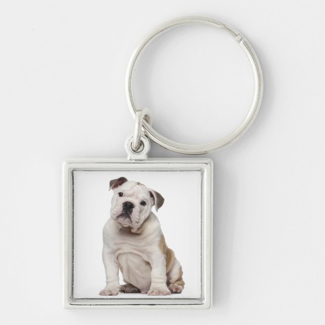 Chaveiro Filhote de cachorro inglês do buldogue (2 meses (Frente)