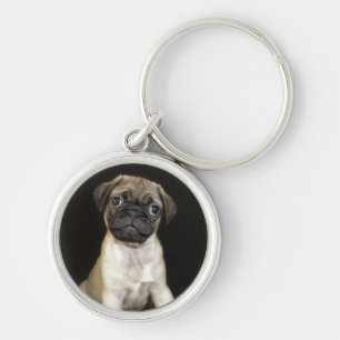 Chaveiro Filhote de cachorro pequeno surpreendente do Pug