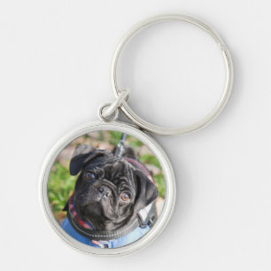 Chaveiro Filhote de cachorro preto do Pug que veste uma