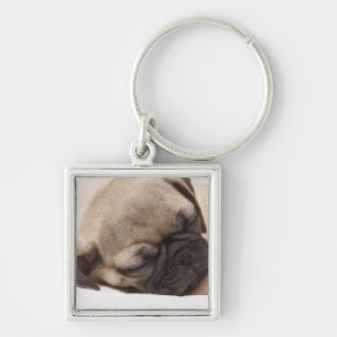 Chaveiro Filhote de cachorro que dorme sadia