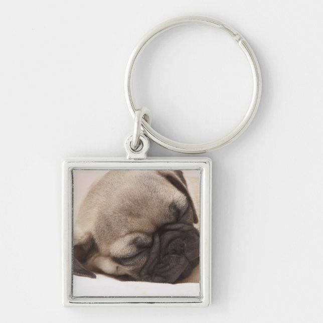 Chaveiro Filhote de cachorro que dorme sadia (Frente)