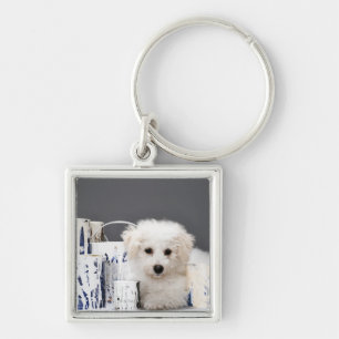 Chaveiro Filhote de cachorro que senta-se entre latas da