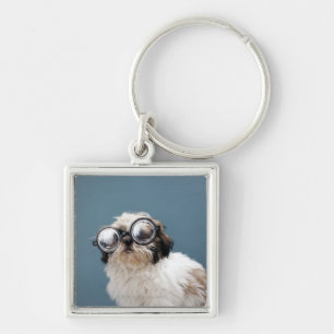Chaveiro Filhote de cachorro que veste vidros grossos