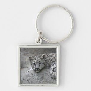 Chaveiro Filhote de leopardo-da-neve de 4 meses de idade es