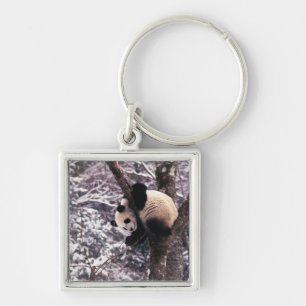 Chaveiro Filhote de panda brincando em árvore coberta de ne