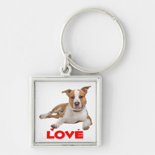 Chaveiro Filhote de Terrier Americano Staffordshire