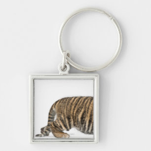 Chaveiro Filhote de tigre 2 de Sumatran