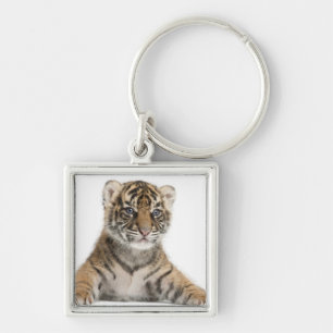 Chaveiro Filhote de tigre de Sumatran