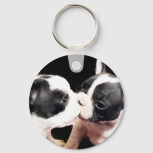 Chaveiro Filhotes de cachorro do buldogue francês