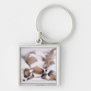 Chaveiro Filhotes de cachorro do corgi do sono galês