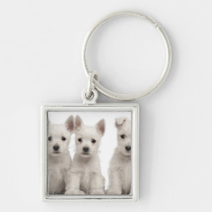 Chaveiro Filhotes de cachorro ocidentais de Terrier das
