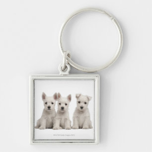 Chaveiro Filhotes de cachorro ocidentais de Terrier das