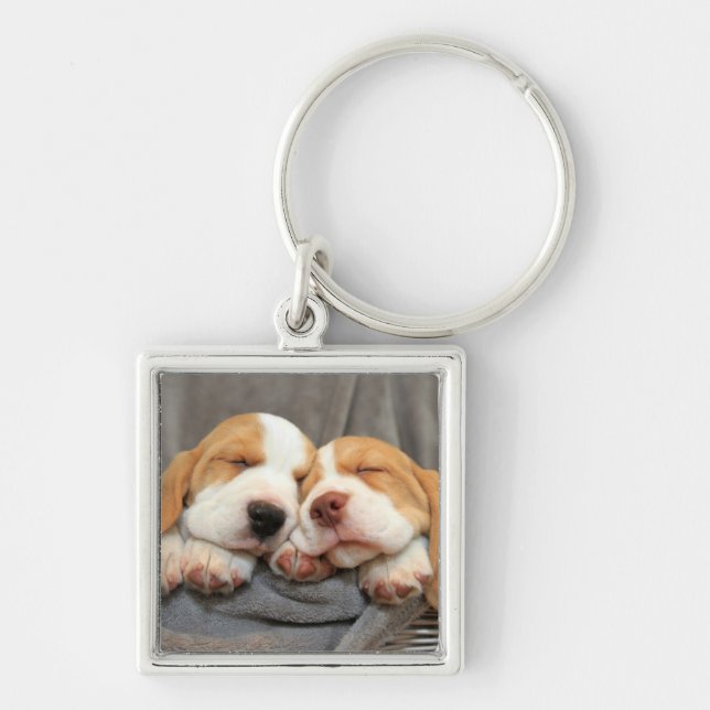 Chaveiro Filhotes de cachorro sonolentos (Frente)