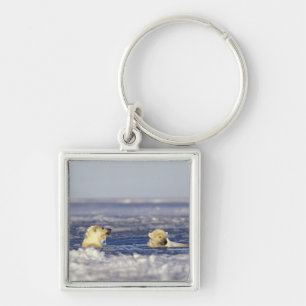 Chaveiro Filhotes de urso polar brincando