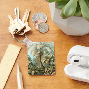 Chaveiro Filicinae por Ernst Haeckel, Plantas de samambaia 