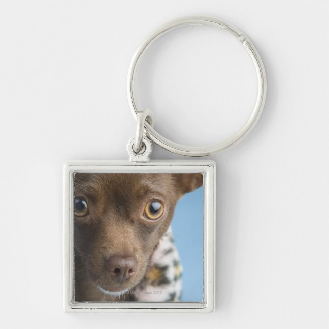 Chaveiro Fim-acima da chihuahua com colar peludo (Frente)