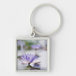 Chaveiro Fim-Acima de um Água-Lírio roxo que flutua sobre