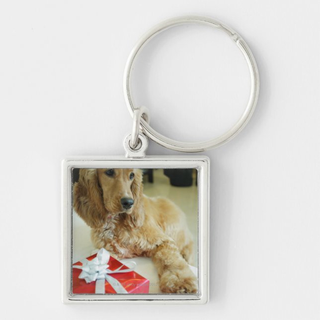Chaveiro Fim-acima de um cão com um presente (Frente)