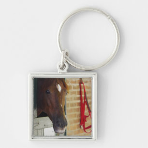Chaveiro Fim-acima de um cavalo 3