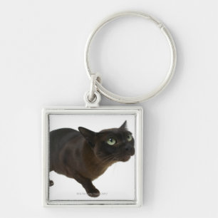 Chaveiro Fim-acima de um gato 2