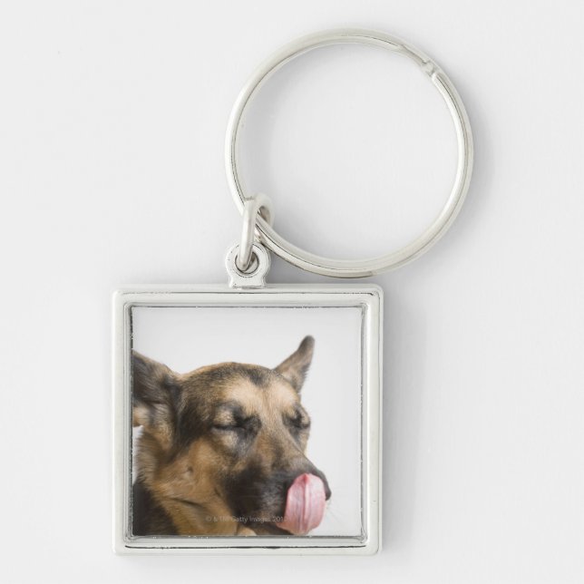 Chaveiro Fim-acima de um german shepherd que lambe seu (Frente)