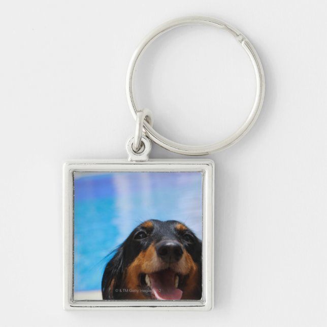 Chaveiro Fim-acima de uma ânsia do cão do Dachshund (Frente)