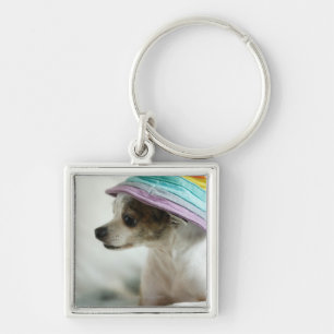 Chaveiro Fim-acima de uma chihuahua que veste um chapéu