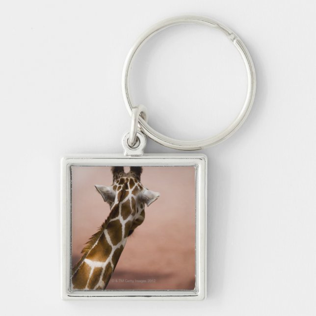 Chaveiro Fim-acima do girafa somaliano (Giraffa (Frente)