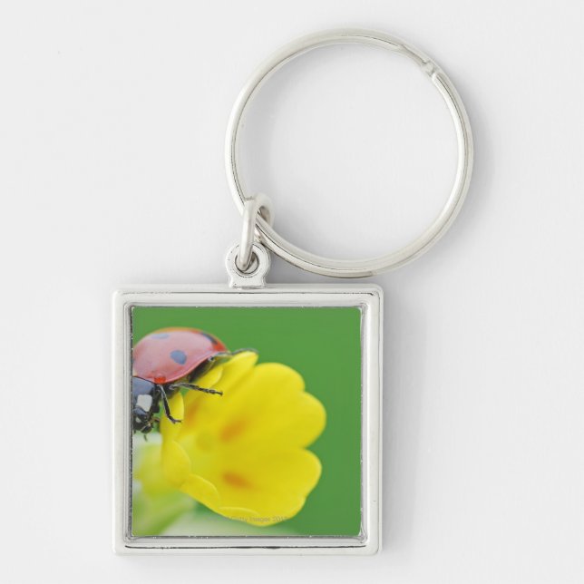 Chaveiro Fim-Acima do joaninha (Frente)