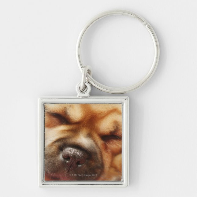 Chaveiro Fim do filhote de cachorro do sono Pugalier acima (Frente)