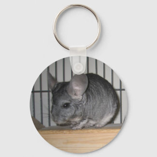 Chaveiro Finalmente, Home Chinchillas: Cheeko