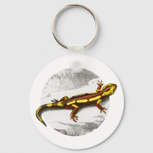 Chaveiro Fire Salamander