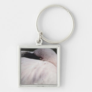 Chaveiro Flamingo