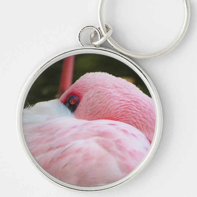 Chaveiro Flamingo (Frente)