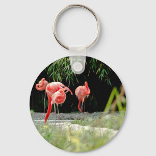 Chaveiro flamingo