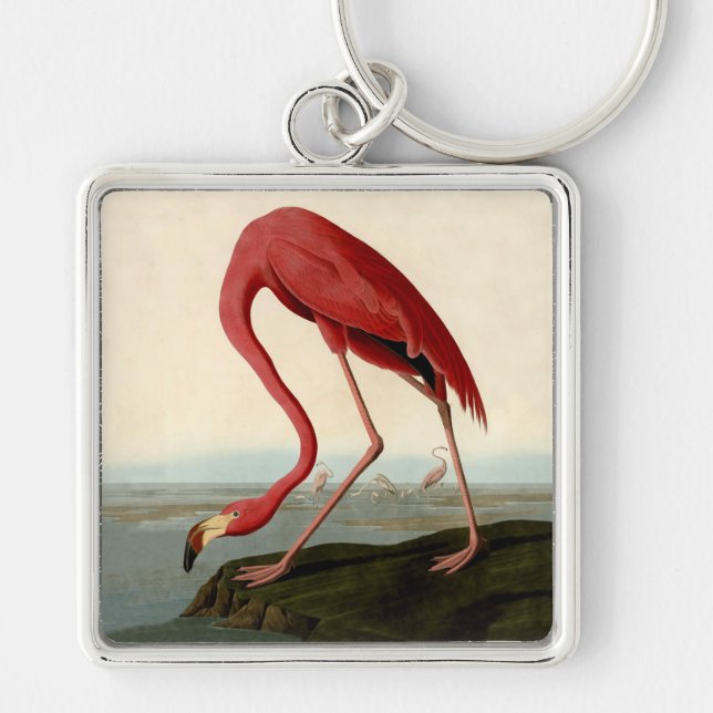 Chaveiro Flamingo Americano de Audubon (Frente)