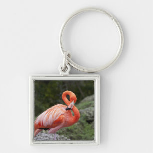 Chaveiro Flamingo cor-de-rosa