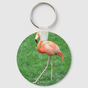 Chaveiro Flamingo de solo