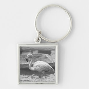 Chaveiro Flamingo que vadeia na água B&W