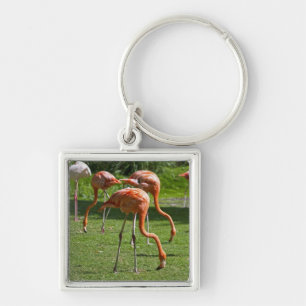 Chaveiro Flamingos
