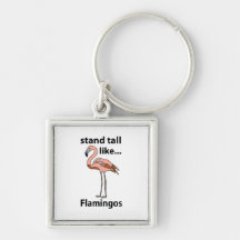 Flamingos São Altos Como Flamingos Flamingo