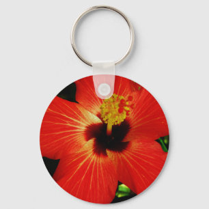 Chaveiro Flor alaranjada vermelha brilhante do hibiscus