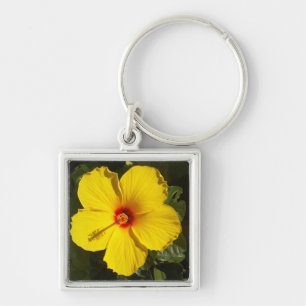 Chaveiro Flor amarela do hibiscus