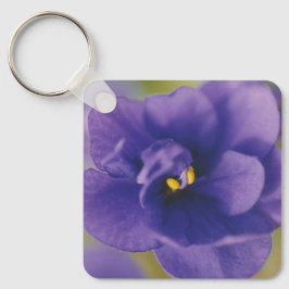 Chaveiro Flor Azul Sangrando de Violet Saintpaulia Zoomed