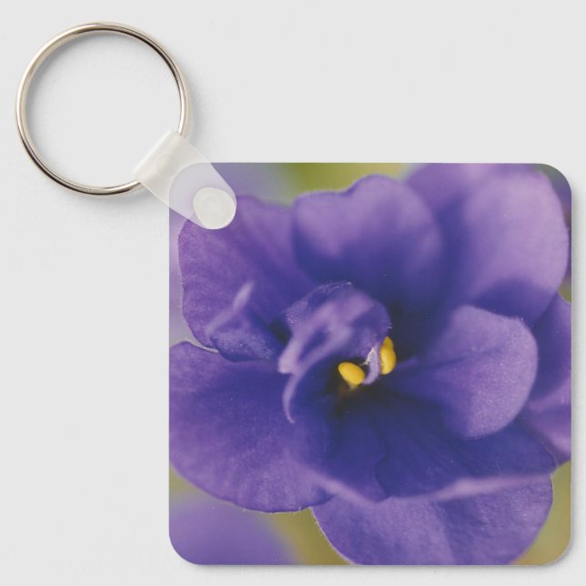 Chaveiro Flor Azul Sangrando de Violet Saintpaulia Zoomed (Frente)